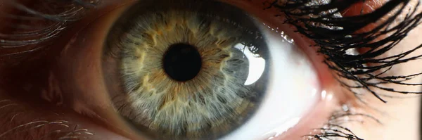Menschliche grüne Augen Supermakro Nahaufnahme Hintergrund — Stockfoto