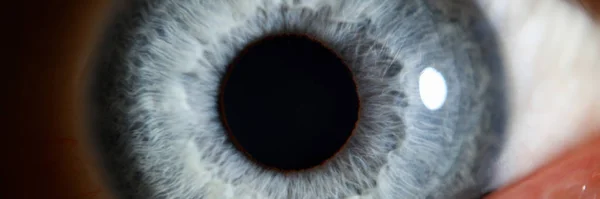 Azul olho masculino humano super macro closeup — Fotografia de Stock