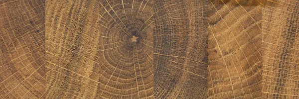 Abctract textura de madeira close-up fundo — Fotografia de Stock