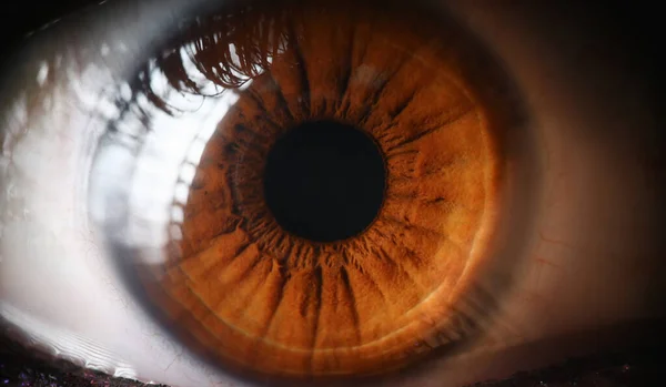 Close-up olho humano, lente, córnea e íris marrom . — Fotografia de Stock