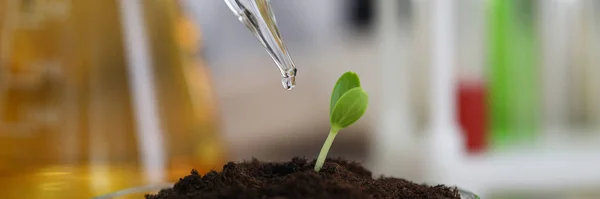 Concepto de educación científica —  Fotos de Stock