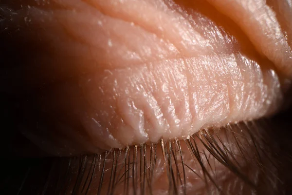 Cils des yeux humain état naturel gros plan — Photo