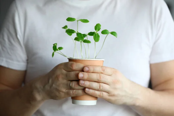 Closeup man holds glass with sprouted small herbs — Stockfoto