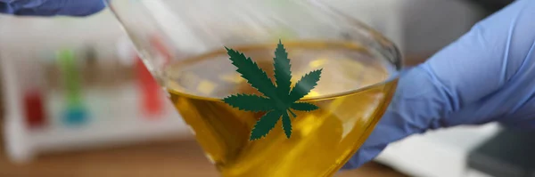 Cannabis drogtest i labbet — Stockfoto