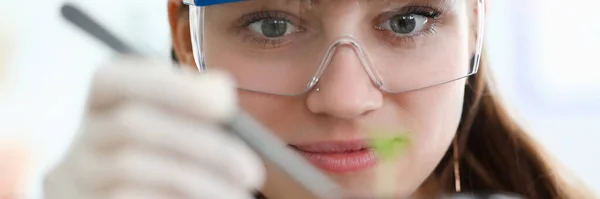 Γυναίκα χημικός ματιά σε δοκιμαστικό σωλήνα με πράσινο βλαστάρι — Φωτογραφία Αρχείου