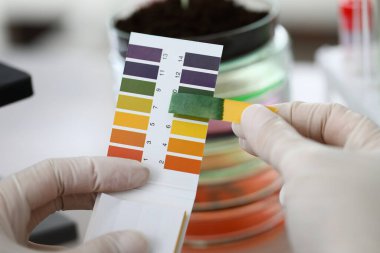 Yakın plan eldivenli eller turnusol göstergesi tutuyor