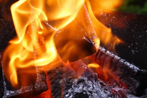 Leña quemada de cerca en el fuego, carbones negros — Foto de Stock