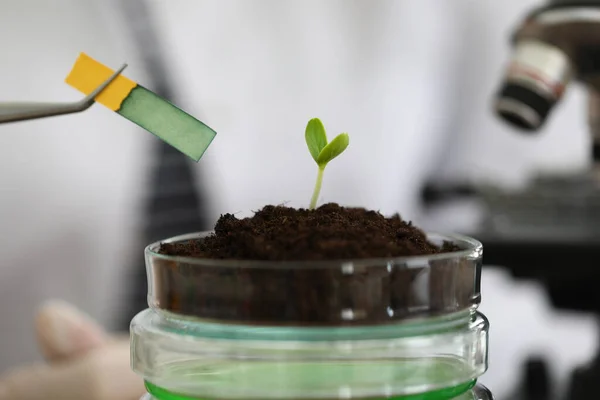 Investigasi biologi di lab — Stok Foto