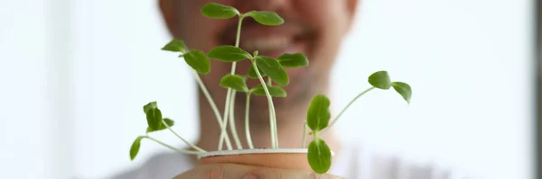 Lächelnder Mann hält Topf mit grünen Triebe Nahaufnahme — Stockfoto