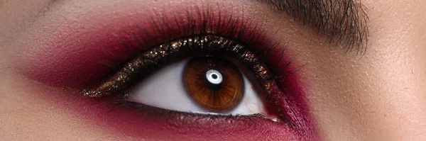 Close-up beautiful female eye decorated with makeup — Stock Photo, Image