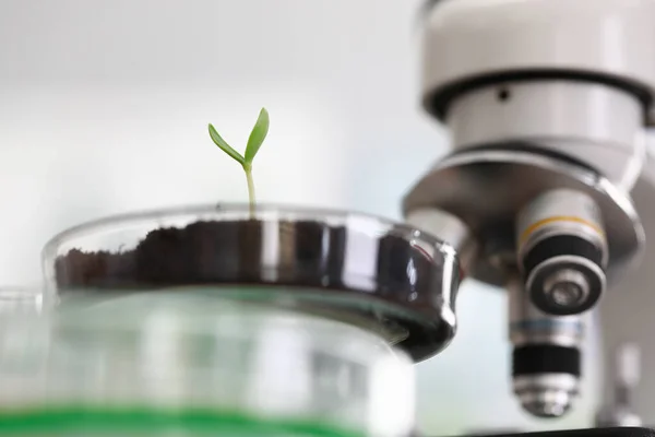 Laboratorio moderno e investigación — Foto de Stock