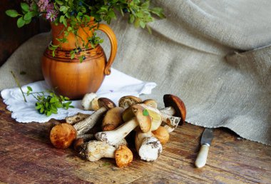 eski ahşap masa üzerinde orman mantar