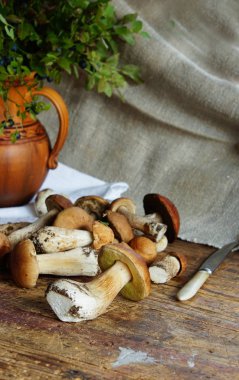 eski ahşap masa üzerinde orman mantar