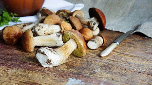 Funghi Della Foresta Sul Vecchio Tavolo Legno — Foto Stock