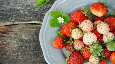 Pineberry ve eski ahşap arka plan üzerinde çilek