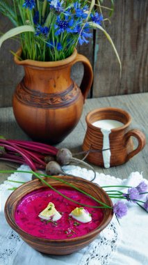 Holodnik soğuk pancar kök çorbası