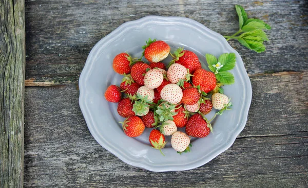 Pineberry Jahody Staré Dřevěné Pozadí — Stock fotografie