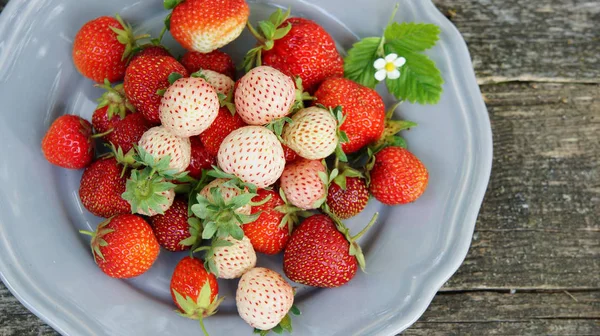 Pineberry Jahody Staré Dřevěné Pozadí — Stock fotografie