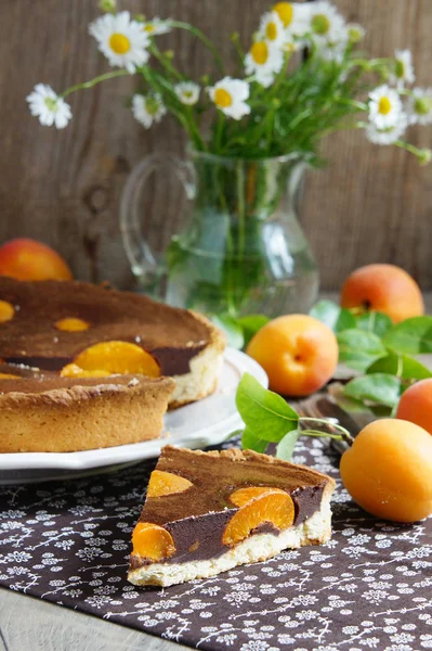 Пирог Шоколадом Абрикосами — стоковое фото