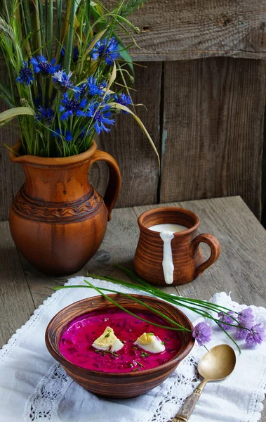 Holodnik Kalte Rübenwurzelsuppe — Stockfoto