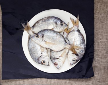 ham taze deniz balık 