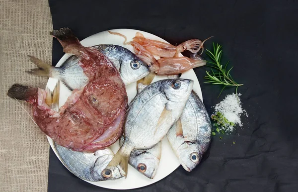 Fresh mantis shrimps, catshark, crab - ingredients for fish stew Bouillabaisse — Stock Image Fresh Mantis Shrimps Catshark Crab Ingredients Fish Stew Bouillabaisse Stock Image