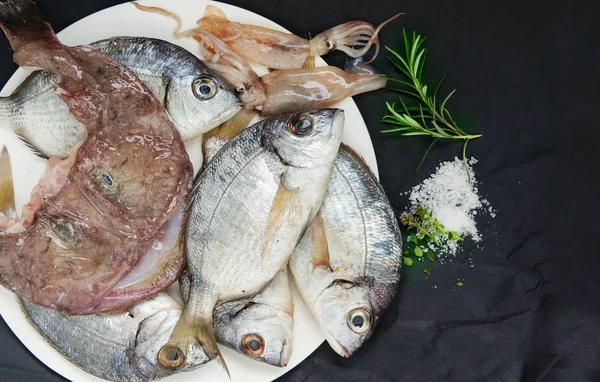Fresh mantis shrimps, catshark, crab - ingredients for fish stew Bouillabaisse — Stock Image Fresh Mantis Shrimps Catshark Crab Ingredients Fish Stew Bouillabaisse Stock Picture