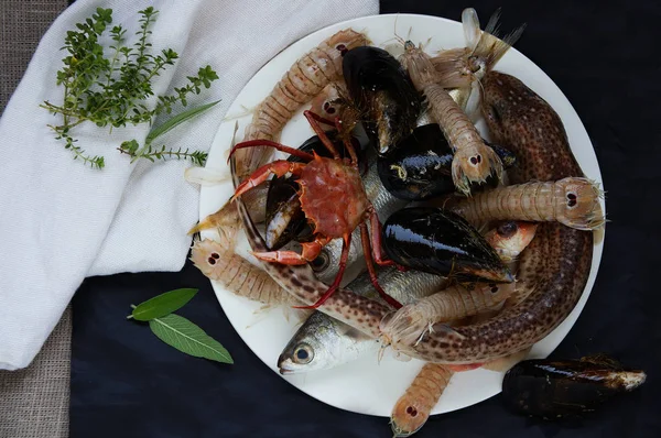 Fresh mantis shrimps, catshark, crab - ingredients for fish stew Bouillabaisse — Stock Image Fresh Mantis Shrimps Catshark Crab Ingredients Fish Stew Bouillabaisse Royalty Free Stock Images