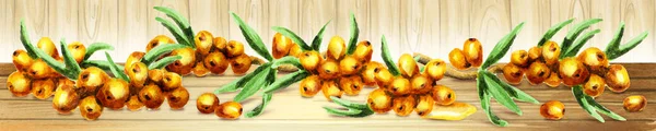 Panoramic image of Sea buckthorn. Can be used for kitchen skinali.