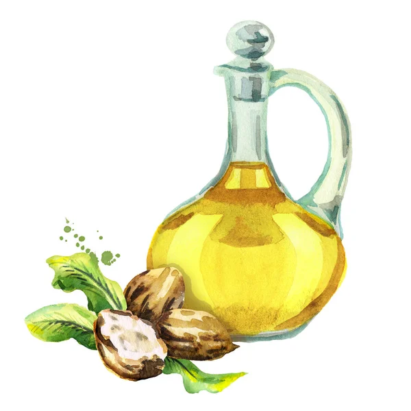 Shea oil. Watercolor  illustration