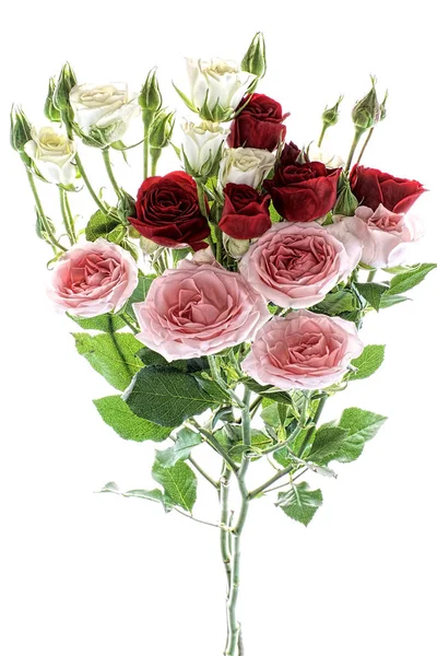Bouquet Fleurs Roses Isolées Sur Fond Blanc — Photo