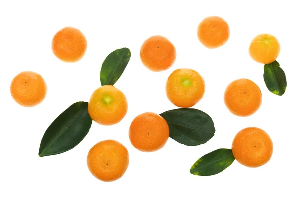 Citrus fruits food background — Stock Photo, Image