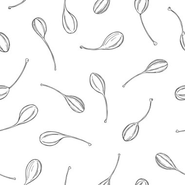 Kereviz meyveleri ile vektörsüz desen