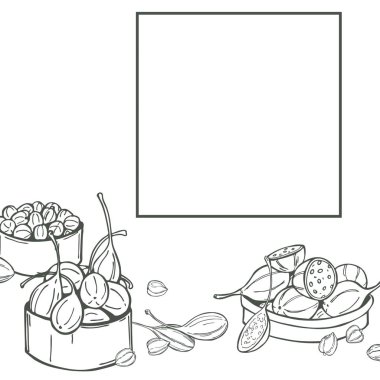 El yapımı yenilebilir meyve ve kapari tomurcukları. Vektör arkaplanı.