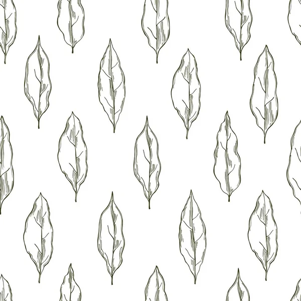 Hand drawn laurel plant. Vector  seamless  pattern. — ストックベクタ