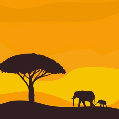 Sunset in the savannah. African elephant with baby elephant. Vec