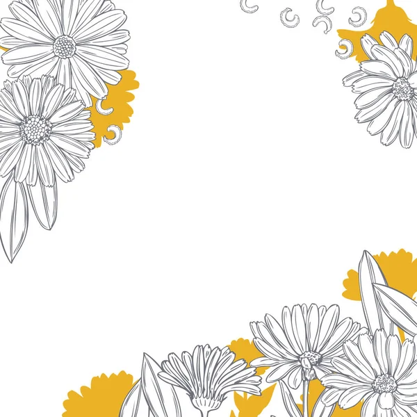 Handgezeichnete Ringelblume Heilkräuter Vektorhintergrund — Stockvektor