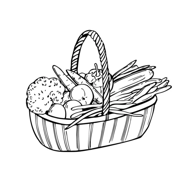 Handgezeichneter Korb Mit Gemüse Vektorskizze Als Illustration — Stockvektor