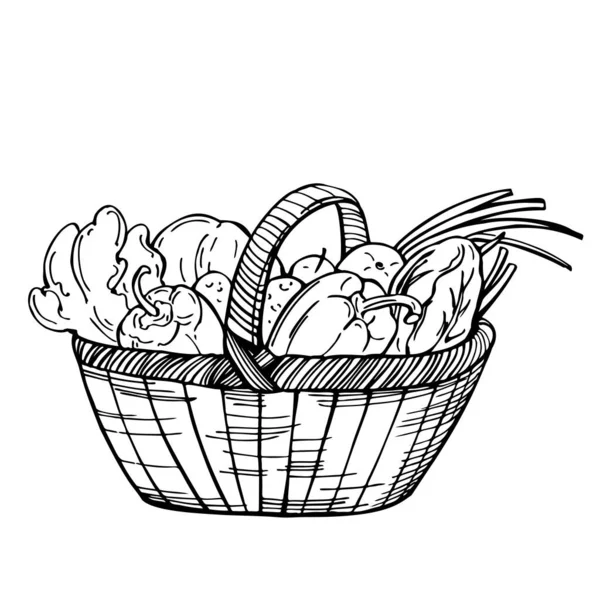 Hand Drawn Basket Vegetables Vector Sketch Illustration — Stock Vector