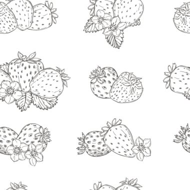 Beyaz arka planda elle çizilmiş çilek. Meyveler, çiçekler, yapraklar. Vektörsüz desen.