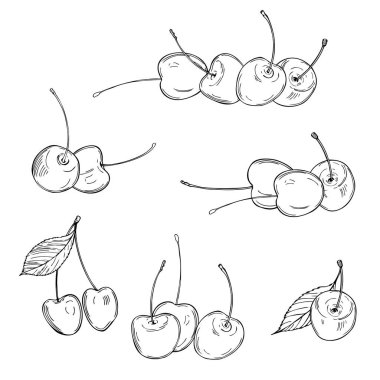 Beyaz arka planda el çizimi kiraz. Vektör çizimi çizimi.