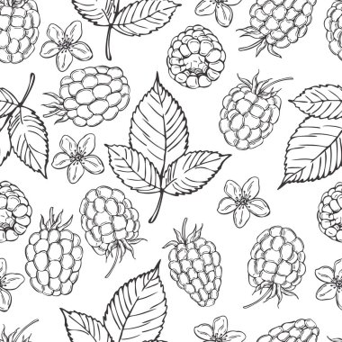 El yapımı dut. Beyaz arka planda ahududu. Vektörsüz desen