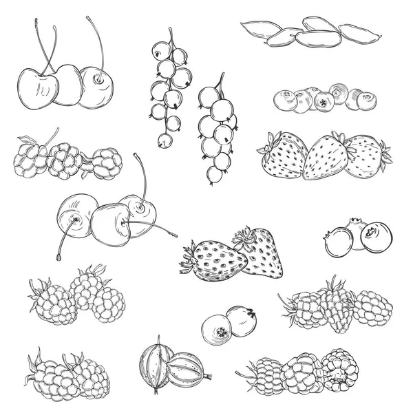 Met Hand Getekende Bessen Kruiden Aardbeien Bosbessen Bosbessen Bramen Kersen — Stockvector