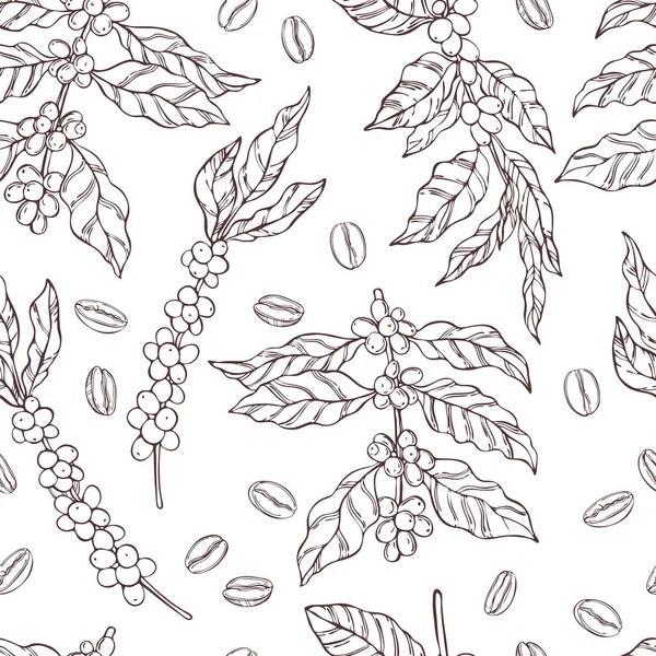 Векторный Бесшовный Узор Нарисованными Вручную Кофейными Растениями Фасолью Рисунок — стоковый вектор
