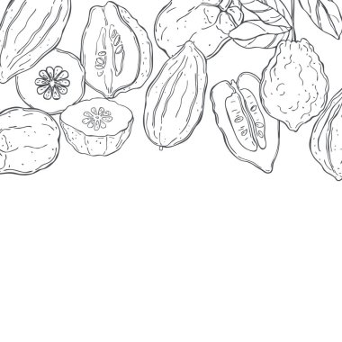 Elle çizilmiş sitronu olan vektör arkaplan. Çizim çizimi