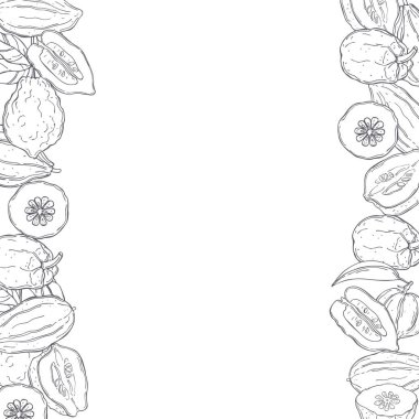 Elle çizilmiş sitronu olan vektör arkaplan. Çizim çizimi