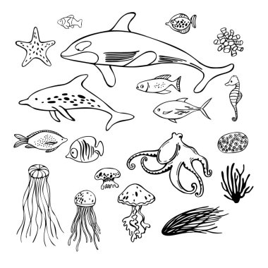 Elle çizilmiş sualtı dünyası. Vektör çizimi çizimi