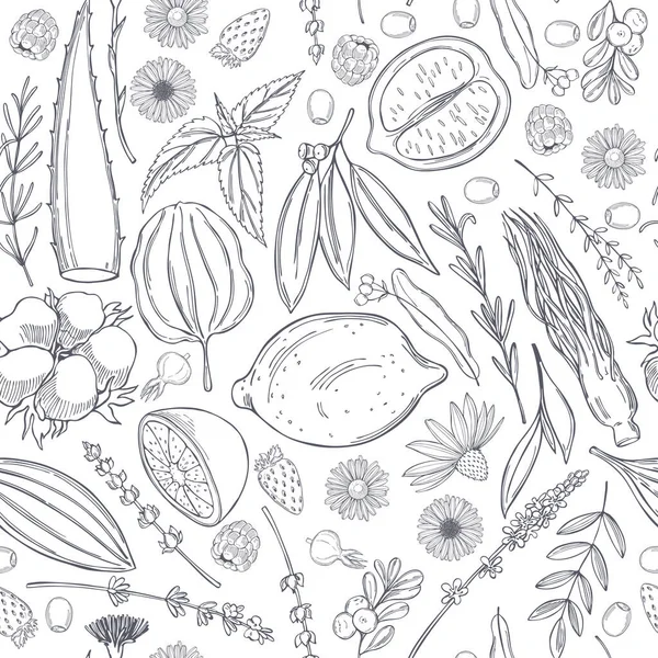 Botanisches Vektormuster Mit Handgezeichneten Pflanzen Hintergrund Für Bio Kosmetik — Stockvektor