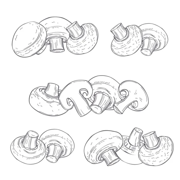 Cogumelos Desenhados Mão Champinhons Fundo Branco Desenho Vetorial Ilustração — Vetor de Stock