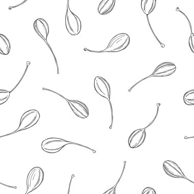 Elle çizilebilen kapari meyveleri olan kusursuz bir şekil. Çizim çizimi.